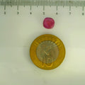 GFCO_39059_3_SCALE.webp