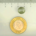 ITLGR_109798_SCALE.webp