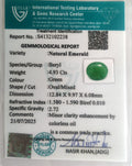 ITLGR_102238_CERTIFICATE.webp