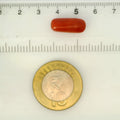 ITLGR_121379_SCALE.webp