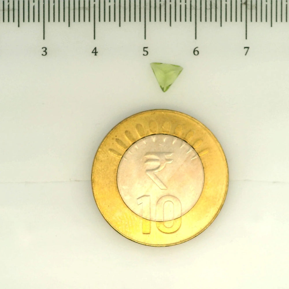 ITLGR_109396_SCALE.webp