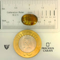 ITLGR_104459_SCALE.webp