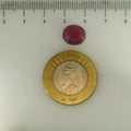 ITLGR_112881_SCALE.webp