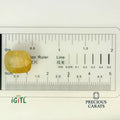 IGITL_194710_SCALE.webp
