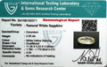 ITLGR_100371_CERTIFICATE.webp