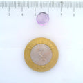 ITLGR_113070_SCALE.webp