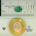 ITLGR_102188_SCALE.webp