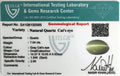 ITLGR_100585_CERTIFICATE.webp