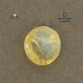IGITL_200269_TOP.webp