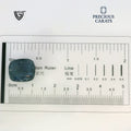 ITLGR_98960_SCALE.webp