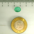 AGR_88377_SCALE.webp