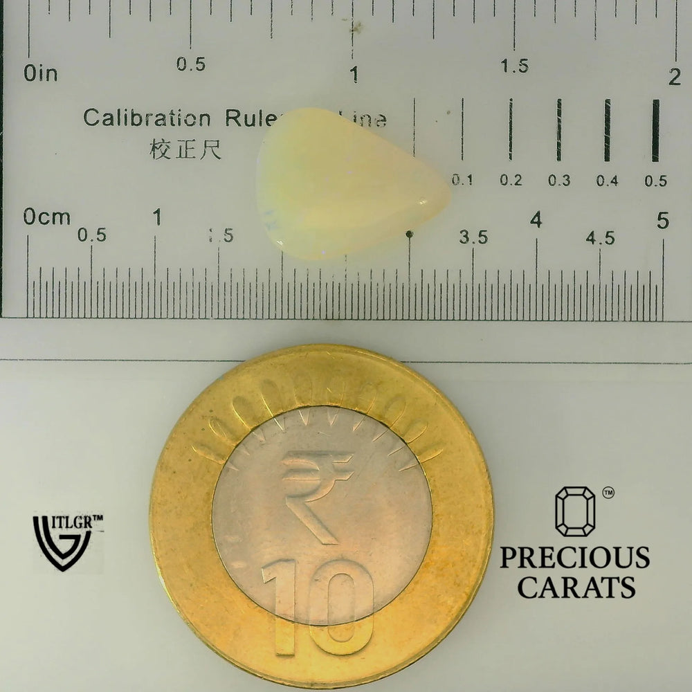 ITLGR_101928_SCALE.webp