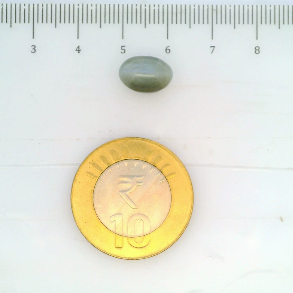 ITLGR_109791_SCALE.webp