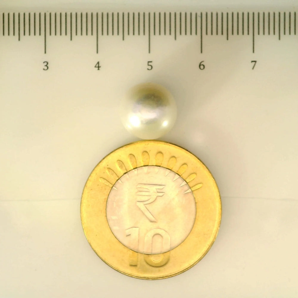 ITLGR_106994_SCALE.webp