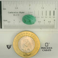 ITLGR_105058_SCALE.webp