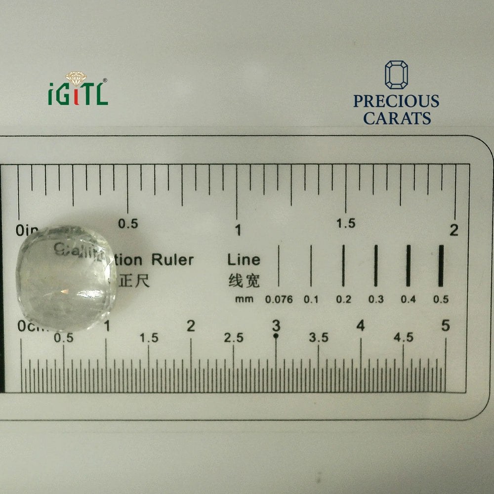 IGITL_194733_SCALE.webp