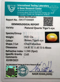 ITLGR_104469_CERTIFICATE.webp