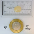 ITLGR_98900_SCALE.webp