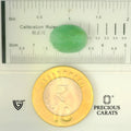 ITLGR_102096_SCALE.webp