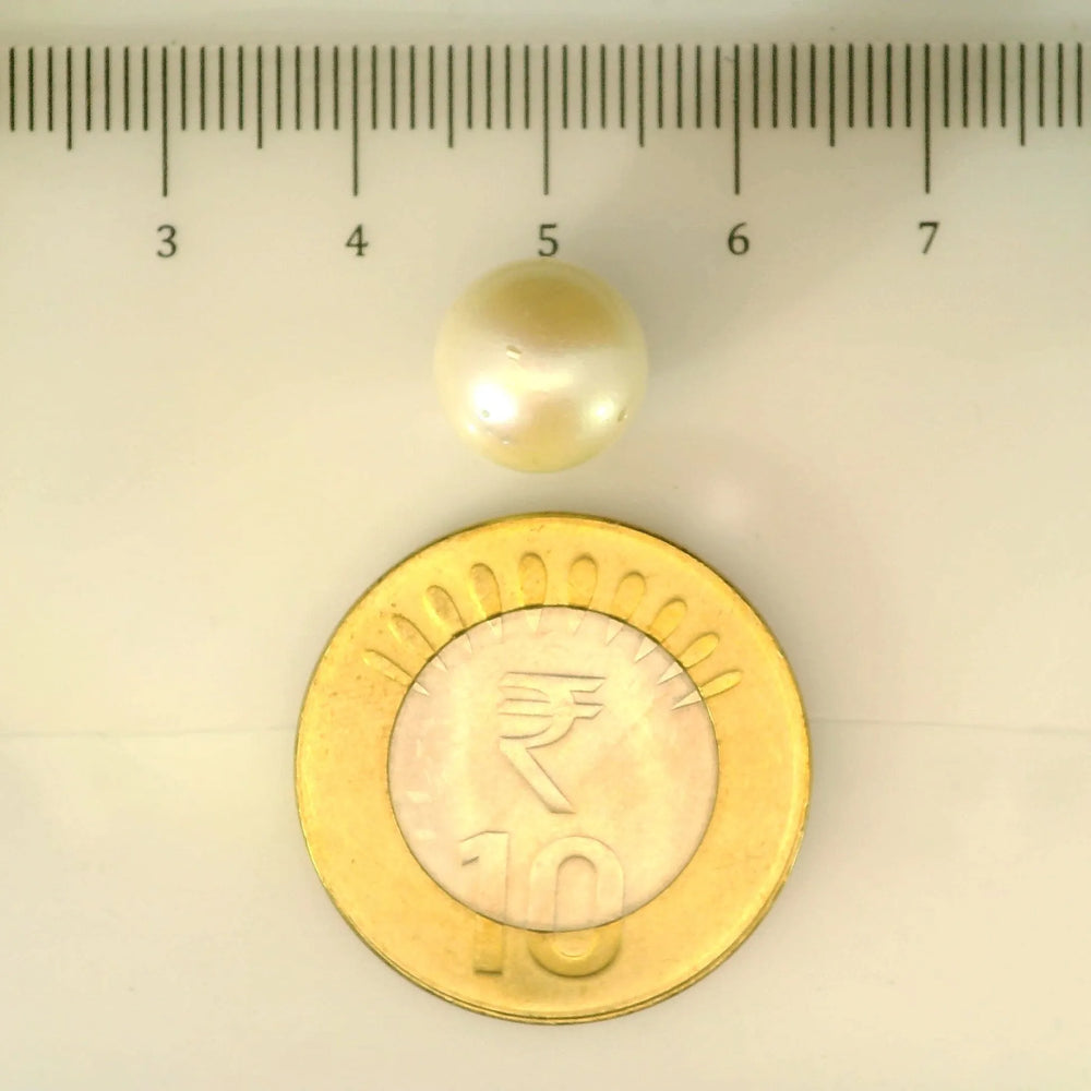 ITLGR_106892_SCALE.webp
