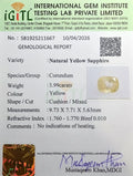 IGITL_211667_CERTIFICATE.webp