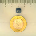 ITLGR_106675_SCALE.webp