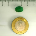 ITLGR_106833_SCALE.webp