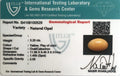 ITLGR_100529_CERTIFICATE.webp