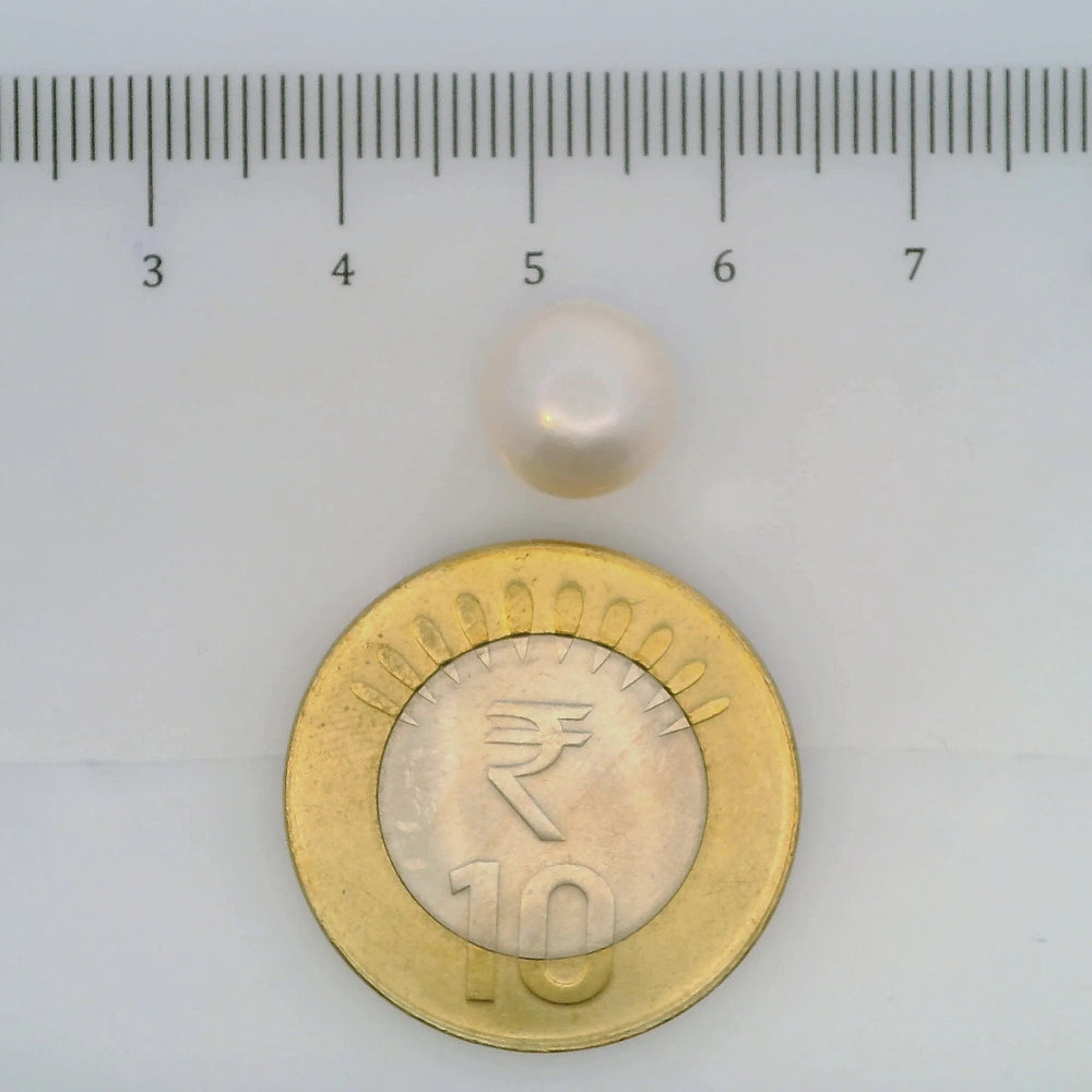 ITLGR_106972_SCALE.webp