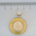 ITLGR_106972_SCALE.webp