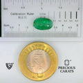ITLGR_102167_SCALE.webp
