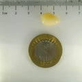 ITLGR_100557_SCALE.webp