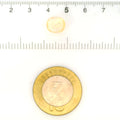 IGITL_211698_SCALE.webp