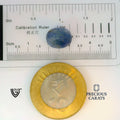 ITLGR_101095_SCALE.webp