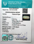 ITLGR_101989_CERTIFICATE.webp