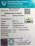 ITLGR_109394_CERTIFICATE.webp