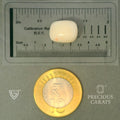 ITLGR_102019_SCALE.webp