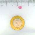 ITLGR_113296_SCALE.webp