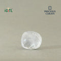 IGITL_200330_BACK.webp