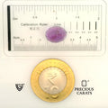 ITLGR_101639_SCALE.webp