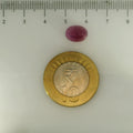 ITLGR_112880_SCALE.webp