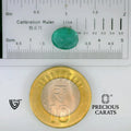 ITLGR_102176_SCALE.webp