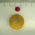 GFCO_39059_31_SCALE.webp