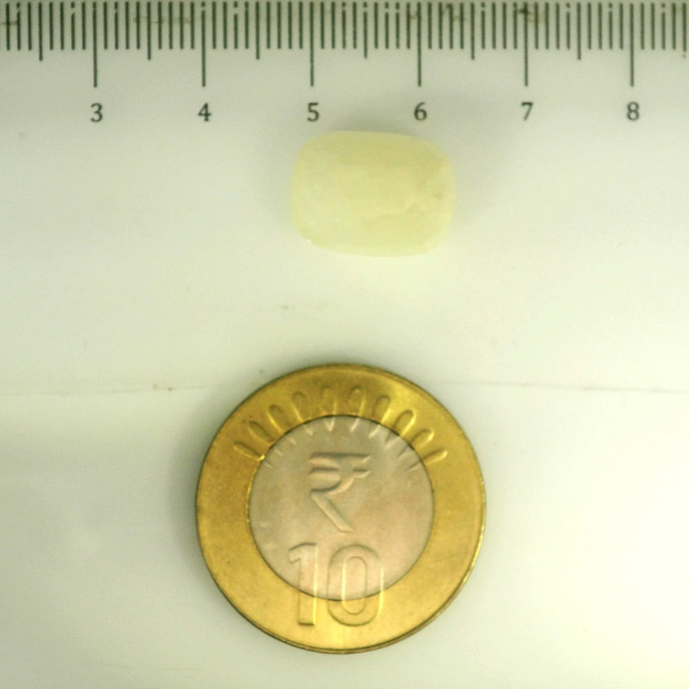 IGITL_201539_SCALE.webp