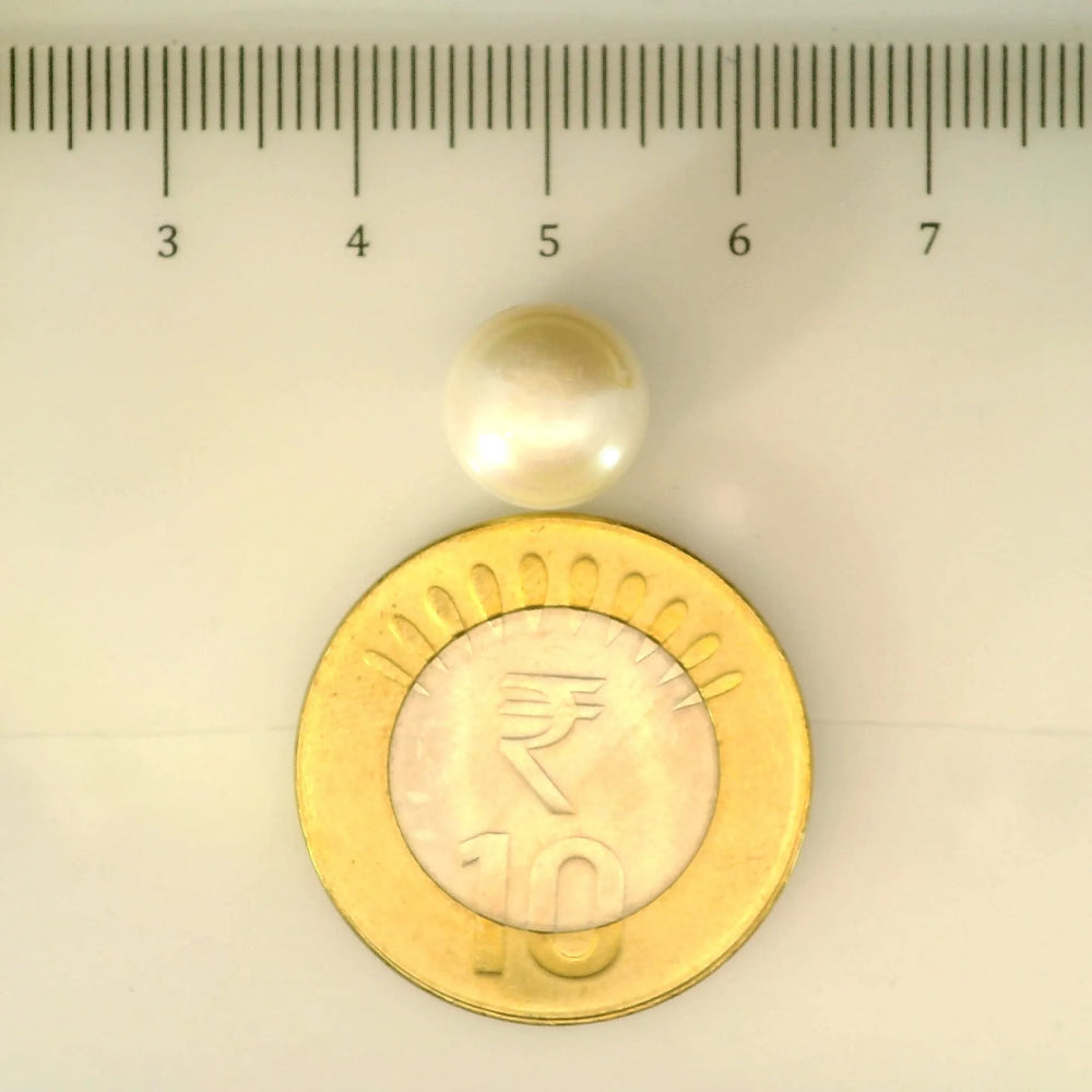 ITLGR_106985_SCALE.webp
