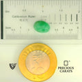 ITLGR_105226_SCALE.webp