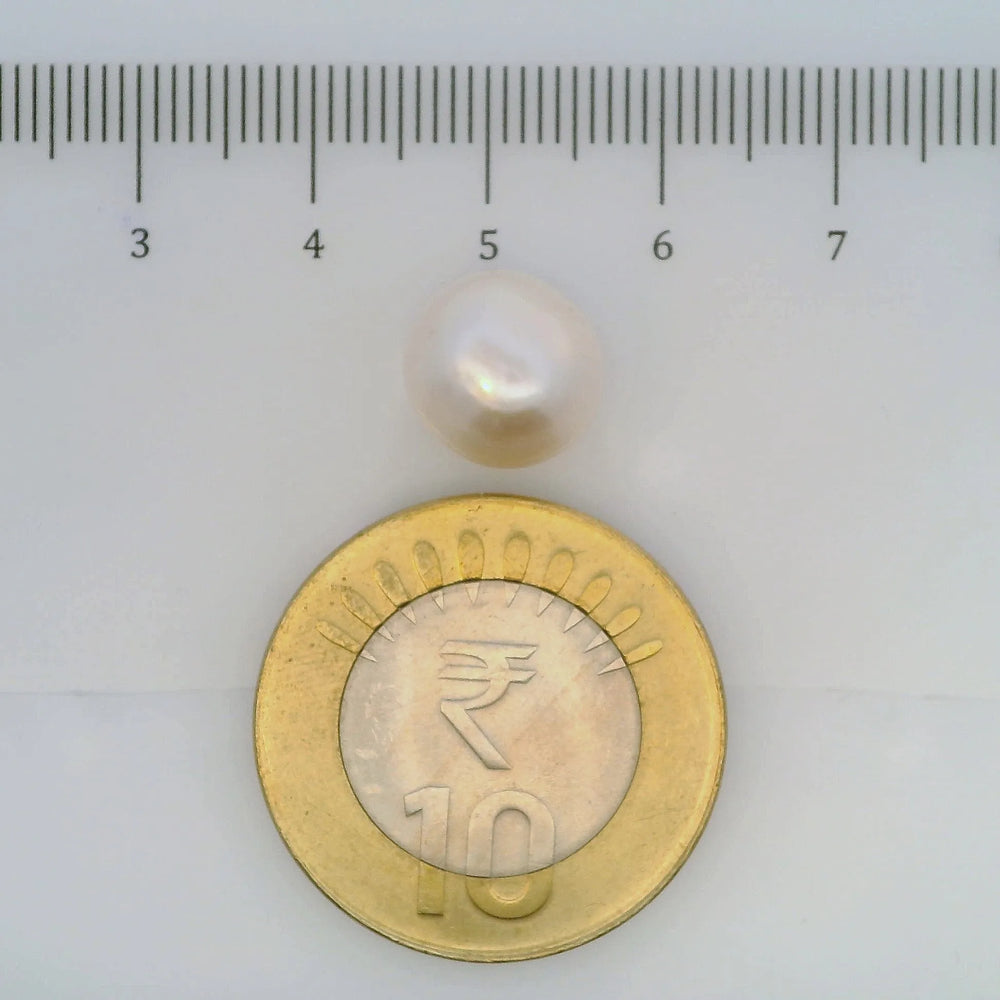 ITLGR_106975_SCALE.webp