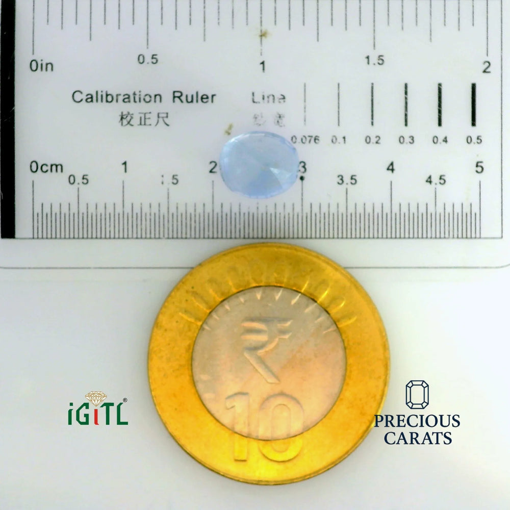 IGITL_197720_SCALE.webp