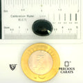 ITLGR_104550_SCALE.webp