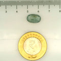 ITLGR_109507_SCALE.webp